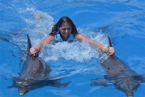 Baignade avec les dauphins à Punta Cana